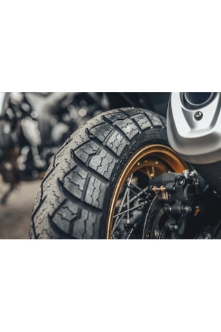 Anlas / Wınter Grıp Plus / 120/70 R 19 M/C 60V Tl M S