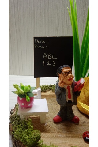 Kütük Teraryum-Erkek