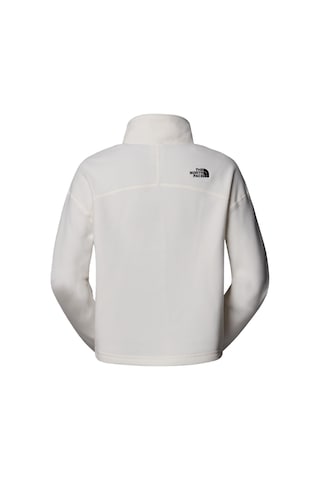 The North Face Kadın 100 Glacıer Cropped Yarım Fermuar Sweatshirt Nf0a855n4hp1 001