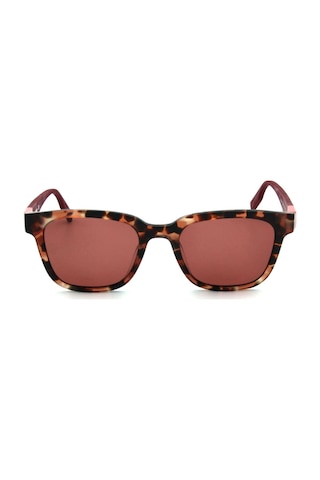 Converse Cv 519s C690 Kadın Güneş Gözlüğü Kahverengi