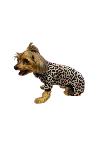 Miniş Pink Leopard Sweatshirt Küçük Irk Köpek Tulumu
