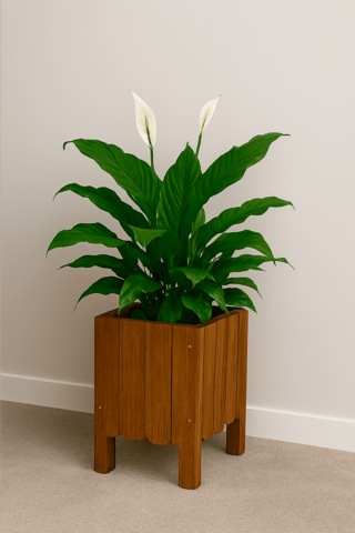 Saksı Ahşap Saksı Çiçeklik Dış Mekan Saksılık 0 - 1 Kg