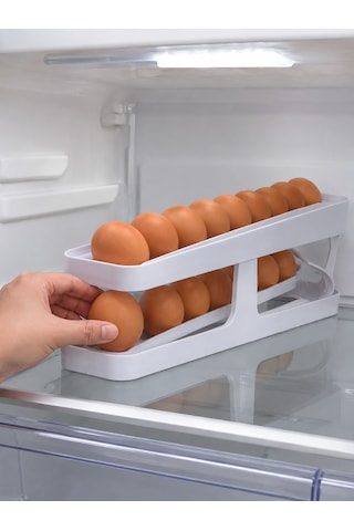 Yumurta Düzenleyici Diğer