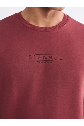 Lcwaıkıkı Classic Kırmızı Bisiklet Yaka Baskılı Erkek Sweatshirt