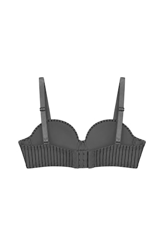 Cottonill Seamless Bra - Striva Siyah Mikro Çizgi Desenli Balenli Kadın Sütyen -