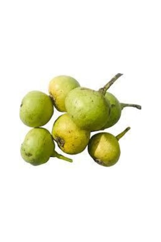 3 Adet Tohum Nadir Dağ Armudu Tohumu Armut Tohumu Tamamen Doğal Dağ Armudu Tohumu Sürpriz Hediye Toh..