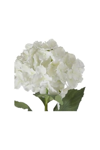 Concept Single Ortanca Çiçek Beyaz 54cm