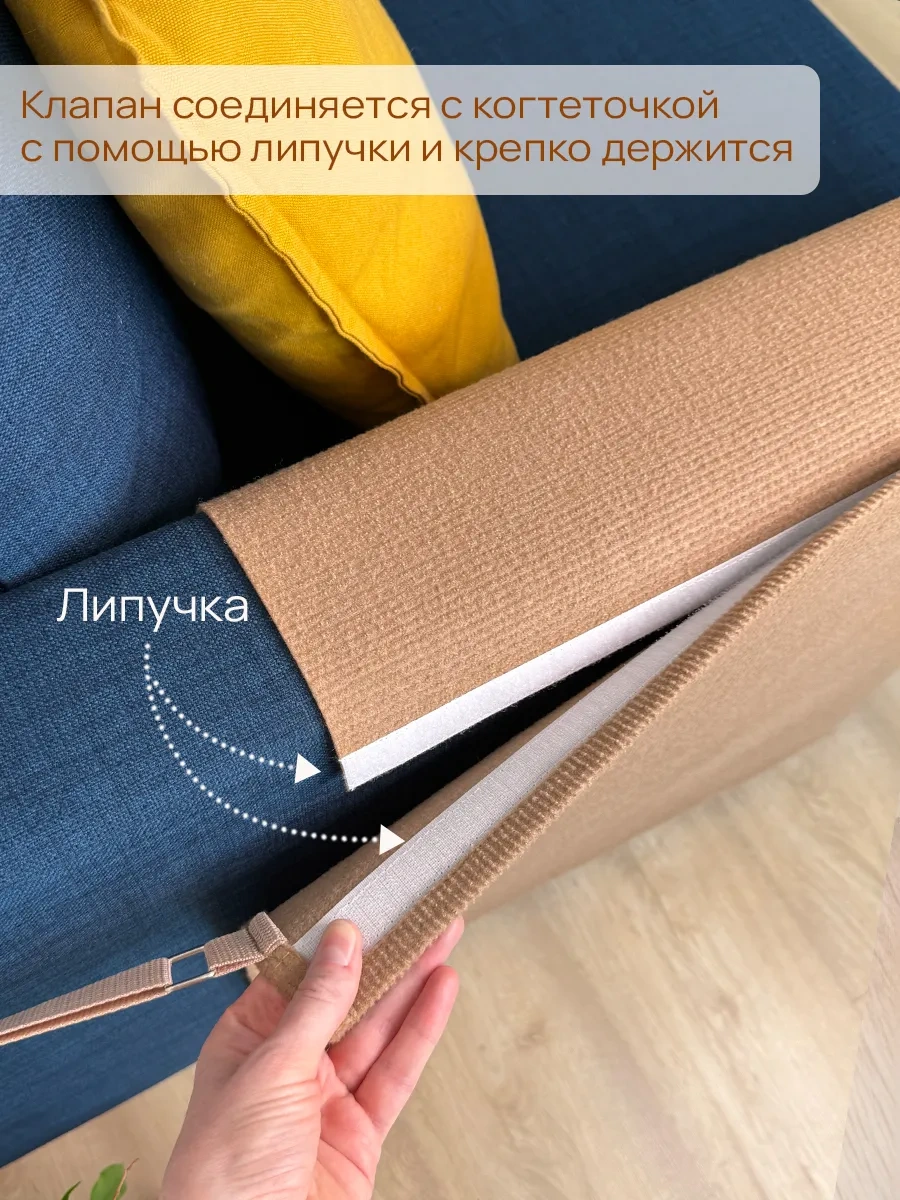 Aseliadia Kedi Kola Sopa Yıkama Aparatı 75x58 268845396