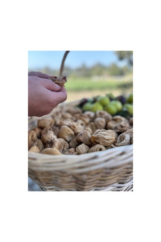 Orta Boy Kuru İncir 500 Gram 500 G