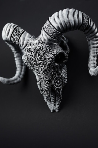 Koyun - Kuru Kafa - Figür / Büst - 17cm