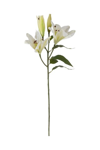 Concept Zarif Zambak Çiçeği Beyaz 75cm