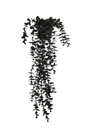 Yapay Çiçek Kahverengi Okaliptus 45 Cm New Collection Siyah Elmas Saksıda Yapay Sarkan Bitki Kahverengi