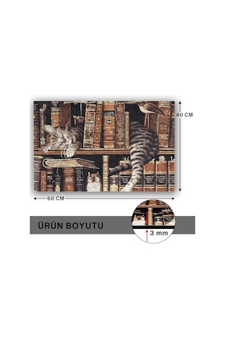 Tasarımlı Dekoratif Kapı Önü Paspas, Dış Mekan/ev İçi/banyo/mutfak/yatak Odası/giriş Paspasları Uykucu Kedi Çok Renkli