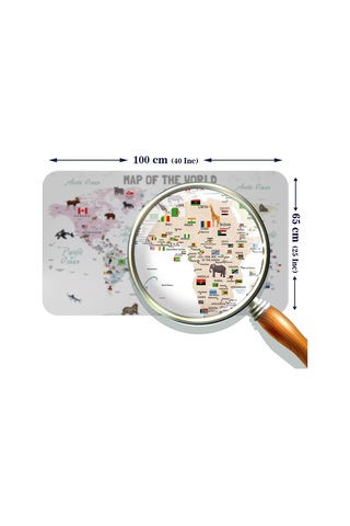 Eğitici - Öğretici Dünya Ve Türkiye Haritası Çocuk Odası Duvar Sticker-60x105-3884 Renkli