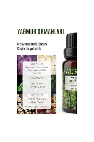 AURAN Yağmur Ormanları Esansiyel Uçucu Koku Yağı Buhurdanlık Yağı