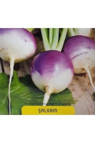 Turp 5 Gr Aykan Şalgam Tohumu