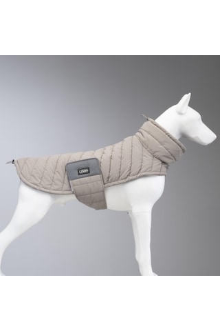 Air Puff Stone Köpek Montu