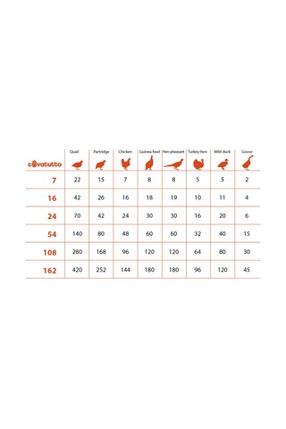 Novital Cova Dijital Otomatik Kuluçka Makinesi