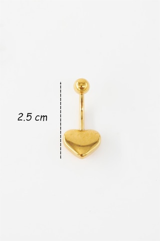 Kadın 316l Anti Alerjenik Kalp Figürlü Göbek Piercing Gümüş