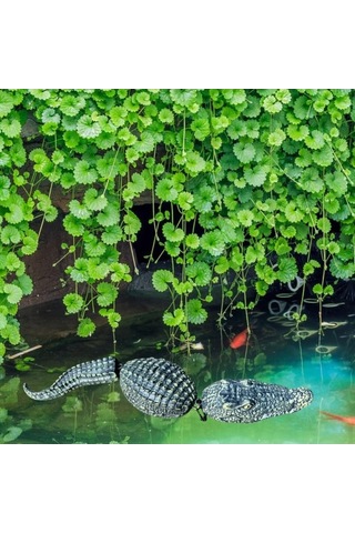 Pazly Yüzen Timsah Tuzağı Homyl Havuz Bahçe Dış Mekan Açık