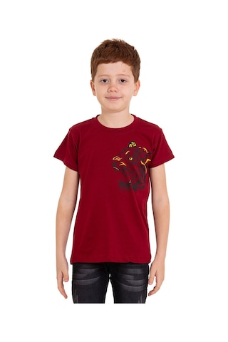 Bordo Kaplan Baskılı Bisiklet Yaka 5-16 Yaş Tişört 2008-6 Bordo
