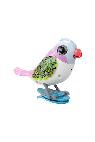 Digibirds Tekli Paket Seri 2 - Model 3