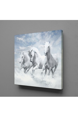 Beyaz Atlar Ülkesi Kanvas Tablo 30x30cm