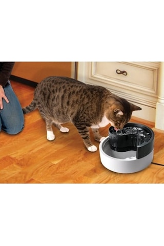 Pioneer Fungshui Kedi Otomatik Su Kabı 1800 ML
