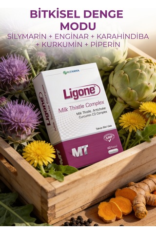 Milk Thistle 60 Kapsül