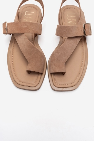 Luvishoes Curry Vizon Süet Hakiki Deri Parmak Arası Kadın Sandalet