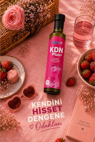 Care Up Kdn Plus Hayıt Otu, Civan Perçemi İçeren Sirke Karışımı 250 ML