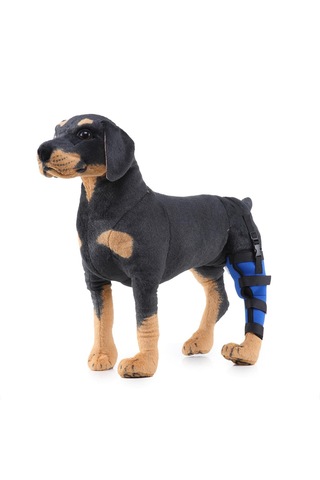 Homyl Köpek Yardımcı Kemer Koruyucu Eklemler