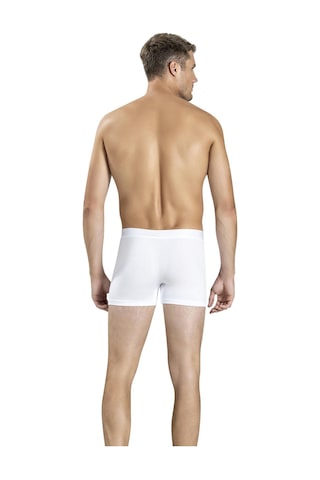 Jiber Erkek Modal Renkli Boxer 321 - 3 Adet 001