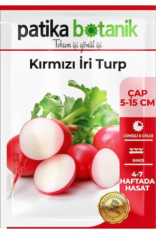 Patika Botanik 500 Adet İri Kırmızı Turp Tohumu