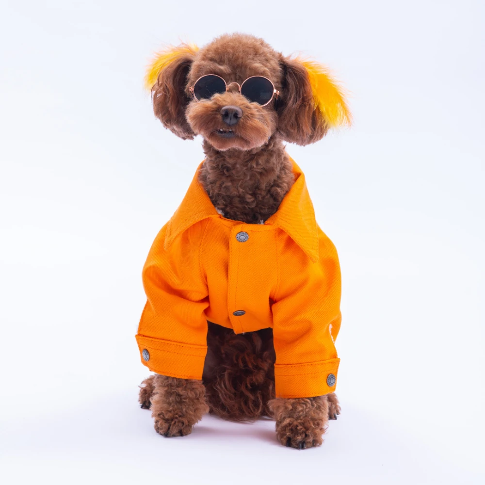 Turuncu Cancún Kedi Köpek Pop Ceket