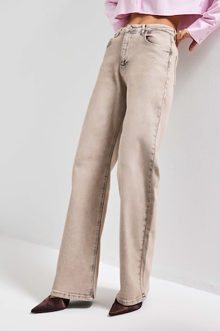 it's basic Kadın Taş Renk 4s6-167 Straight Fit Yüksek Bel Elastan Kumaş Denim Jean
