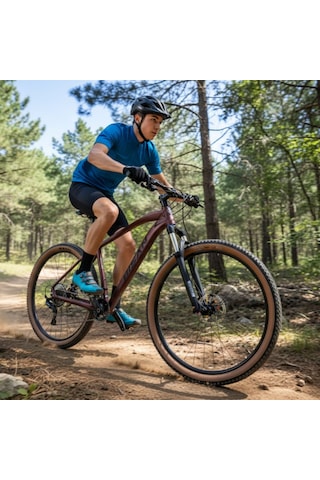 Bisan Mtx 7600 - 27'' Jant Dağ Bisikleti 17'' 43 Cm M Kadro - Bordo Siyah Çok Renkli