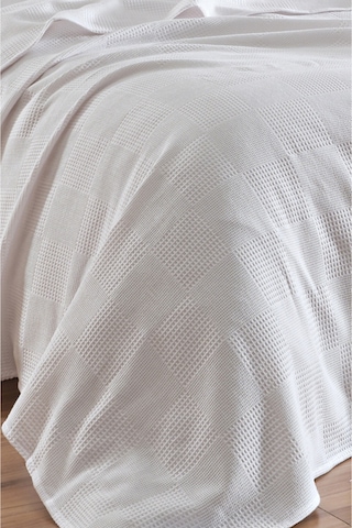 Tek Kişilik %100 Pamuk Pike Örtü 160x230 Cm Karo Desenli Beyaz Weave Serisi Beyaz