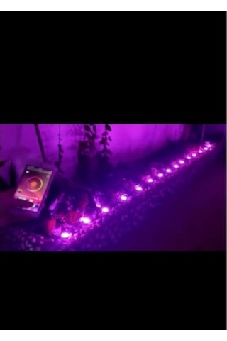 12v 10 Metre Bluetooth Özellikli Ip65 Animasyonlu Pixel Led Kazıklı Bahçe Aydınlatması Kutulu Set