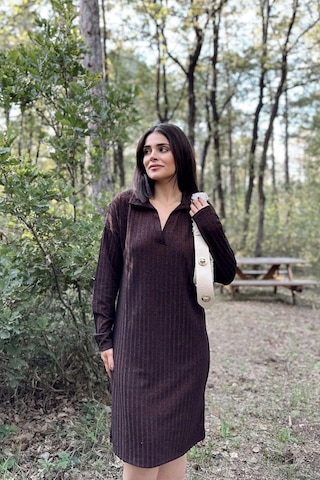 WeShaya Kadın Bordo Polo Yaka, Kendinden Desenli, Basic Kalıp, Uzun Kollu Midi Triko Elbise Bordo