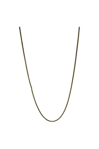 Hedea 2 Mm Gold Kadın Çelik Kolye 60 Cm Gold