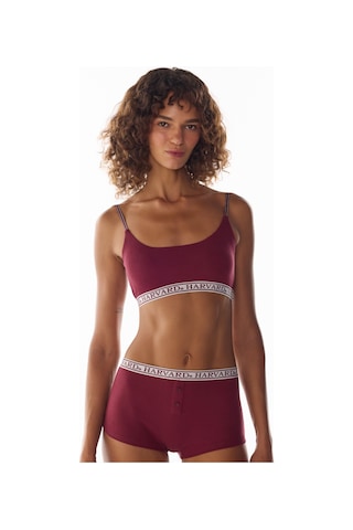 Penti Bordo Harvard Çıkarılabilir Pedli Bra Bralet
