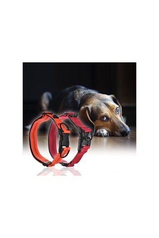 Geeroyoo Gece Görünürlüklü Ayarlanabilir Köpek Tasması - Çift Çelik Halkalı Dayanıklı Nylon, Kırmızı/turuncu Seçenekli Kırmızı