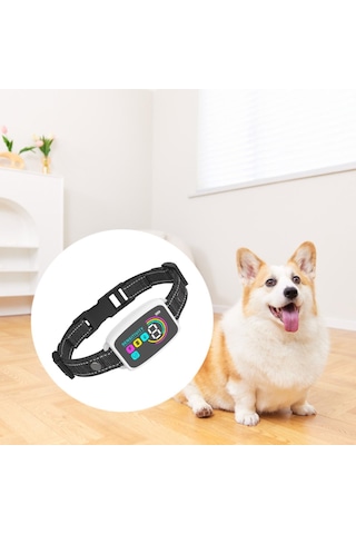 Suntek Köpek Küçük Orta Büyük Köpekler Için Şarj Beyaz