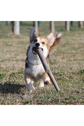İkili Baby Köpek Oyuncağı Mavi