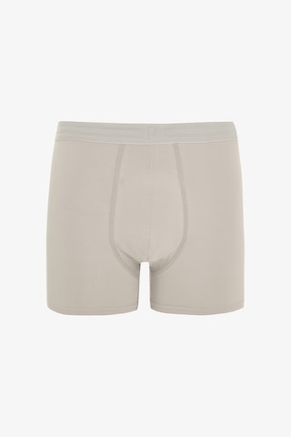 Penti Erkek Pamuklu Basic Çok Renkli 2li Boxer
