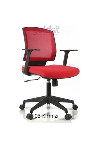 Dekofis Goldsit Reks One 100 Çalışma Koltuğu