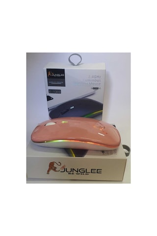 Şarjlı Kablosuz Mouse Sessiz 2.4 Ghz Usb Wireless 800-1200-1600 Ayarlanabilir Dpi Led Işıklı Slient Diğer