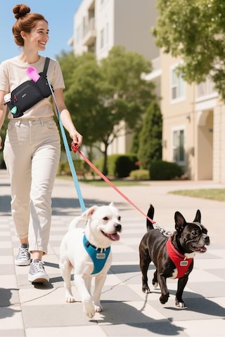 Agptek Köpek Ödül Maması Bel Çantası Ve Gezdirme Çantası Gezdirme Kayışları Siyah