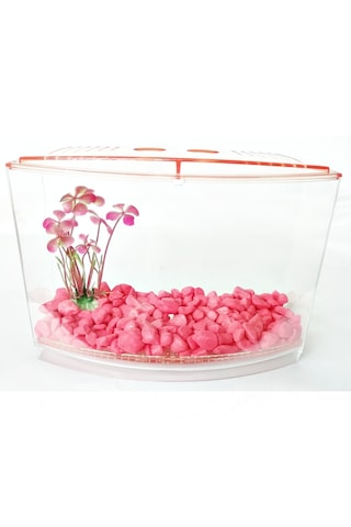 Bölmeli Izgaralı Betta Beta Kabı Tankı Akvaryum 1800 Ml - 19x8x13 Cm Pembe